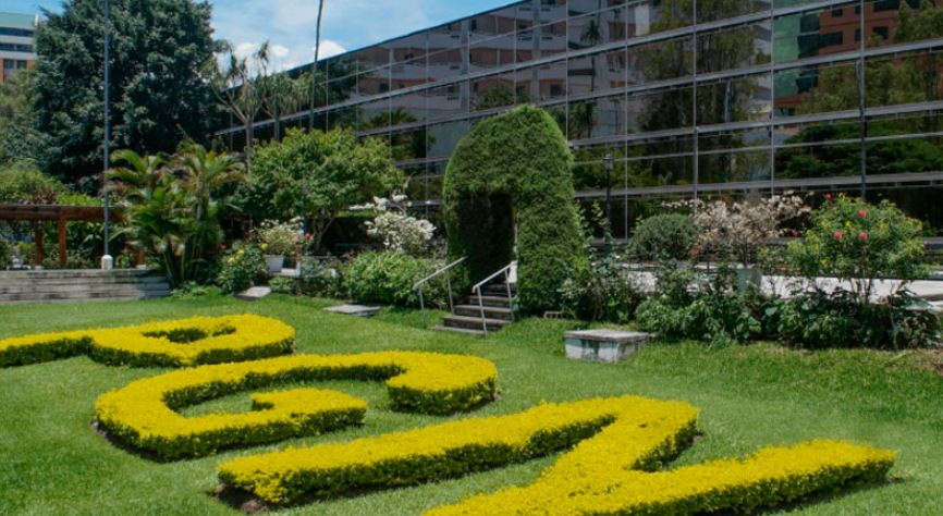 Cómo presentar una denuncia en la PGN sobre abusos contra menores de edad