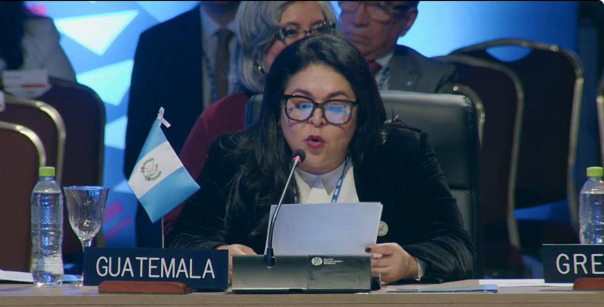Viceministra de Relaciones Exteriores Mónica Renata Bolaños Pérez, en asamblea de la OEA. / Foto: Minex.