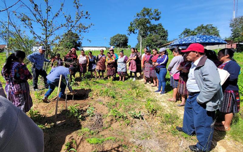Un grupo de pobladores de la comunidad Chutumal I fueron capacitados sobre el manejo sostenible de los recursos naturales, en Chichicastenango, Quiché. / Foto: MAGA.