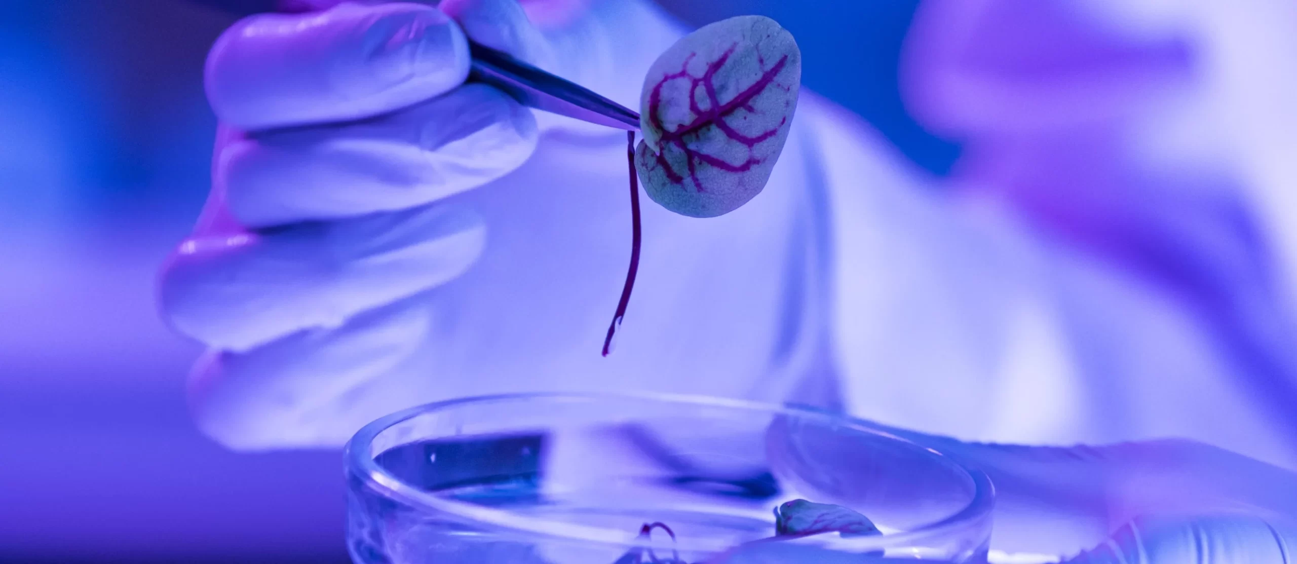 Consejo Nacional de Ciencia y Tecnología realiza convocatoria para brindar apoyo financiero a proyectos enmarcados en el Plan Nacional de Desarrollo Científico y Tecnológico. / Foto: Concyt.