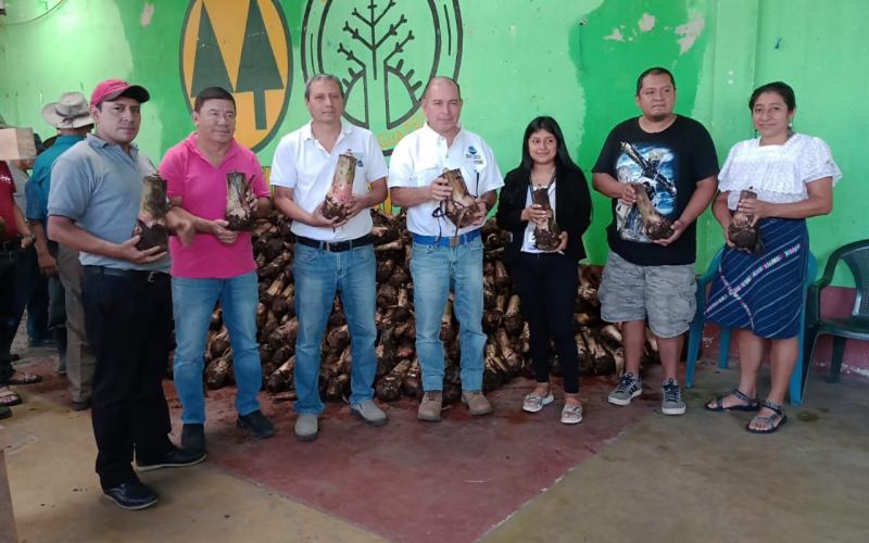 Diversificación de cultivos se aplica en Palín, Escuintla, y otras regiones del país. / Foto: MAGA.
