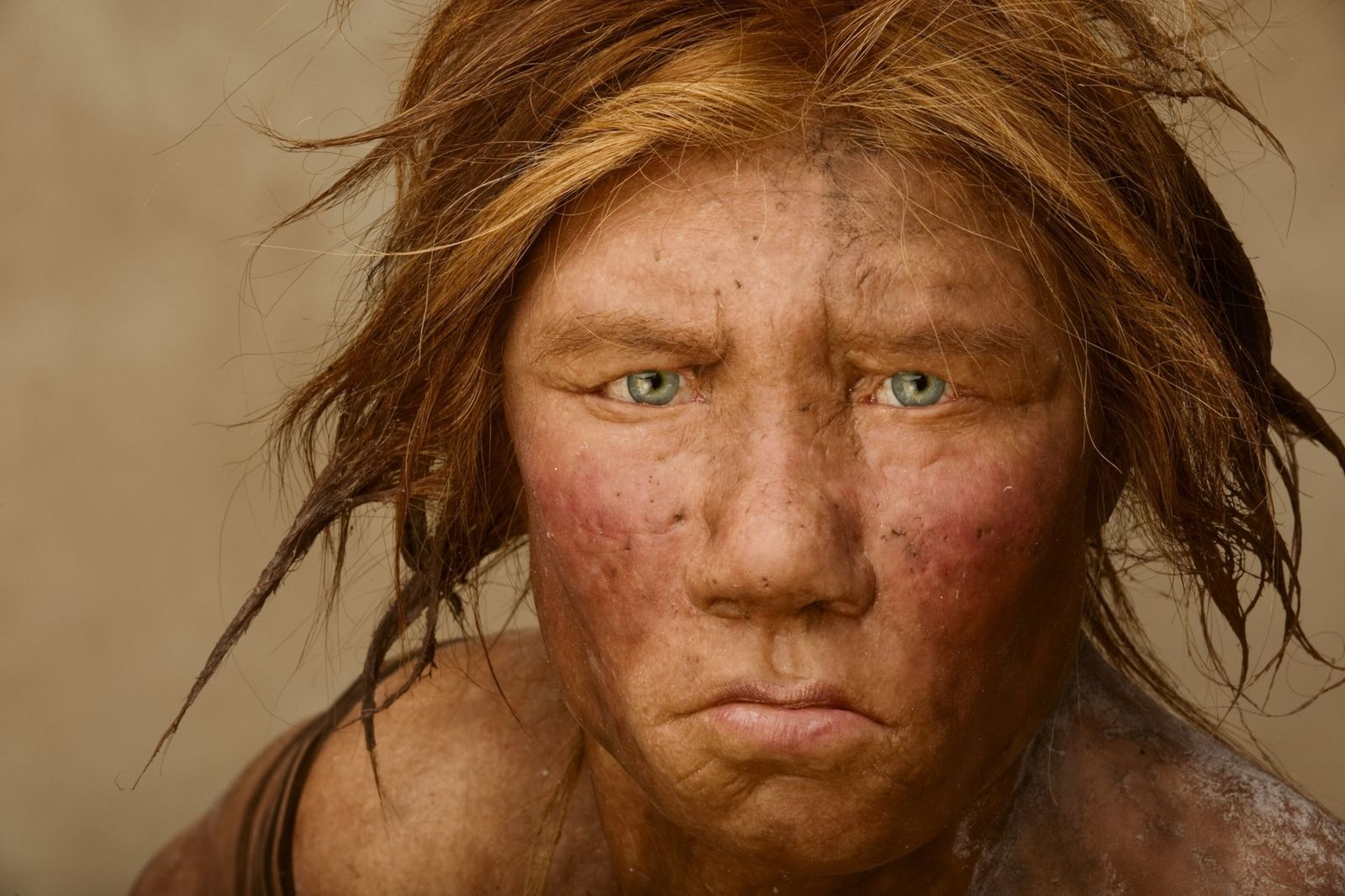 Estudio revela relación de neandertales con humanos modernos. / Foto: National Geographic.