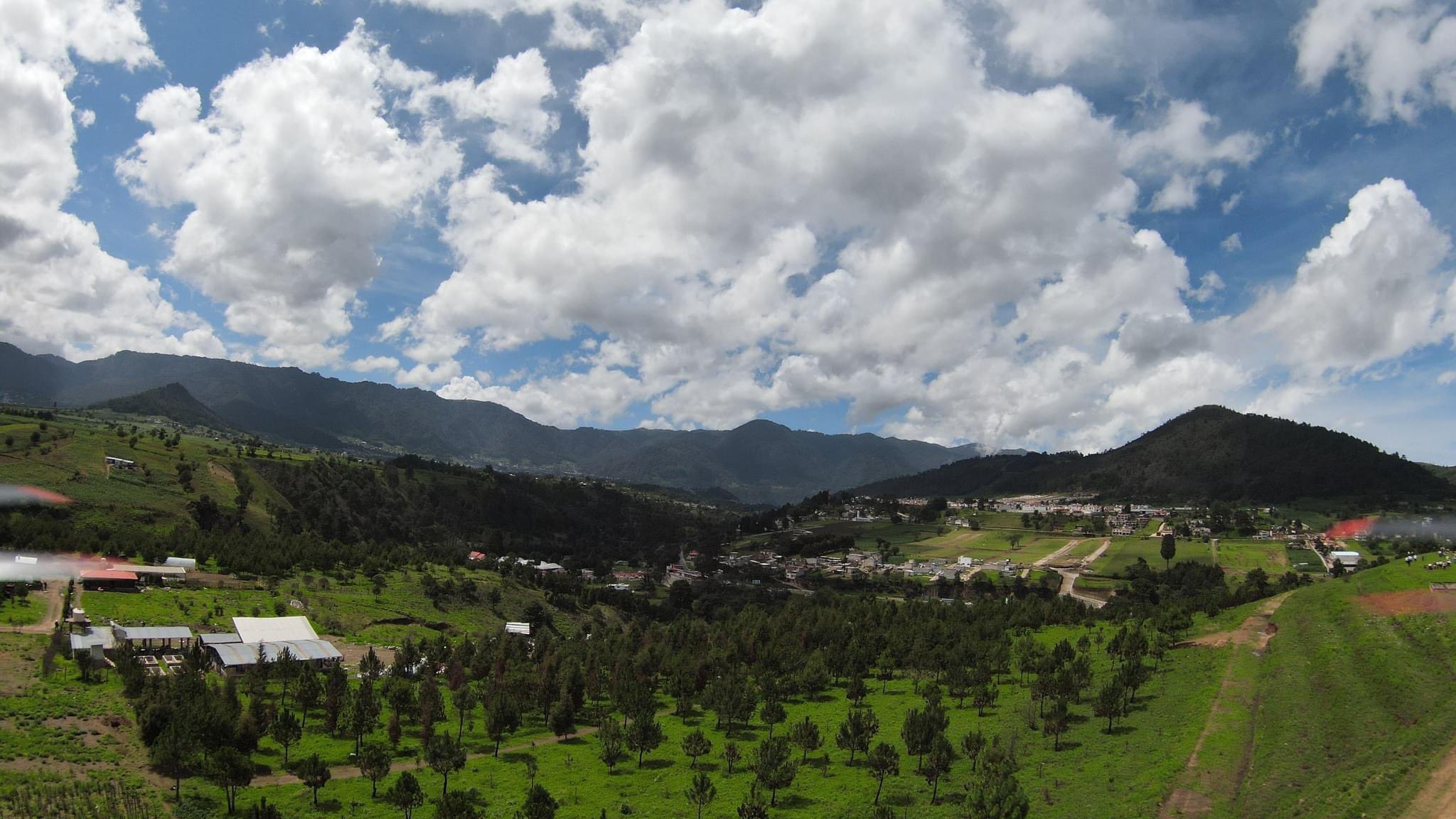 Ministerio de Ambiente invita a participar en las jornadas de reforestación