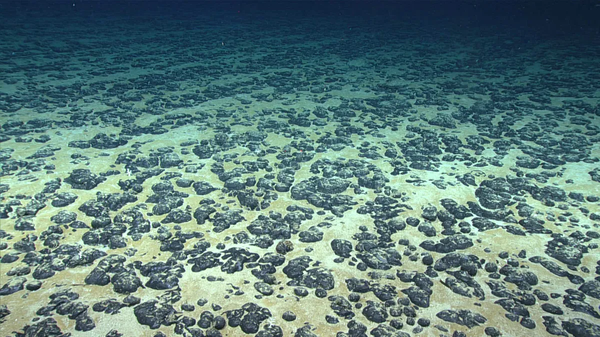 El fondo del océano produce su propio oxígeno
