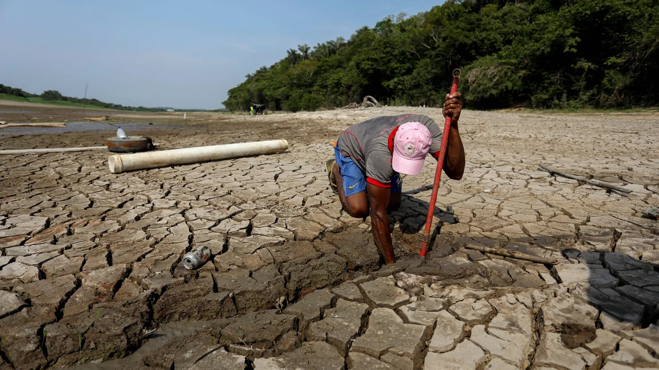 Sequías severas amenazan región amazónica. / Foto: cnnenespano