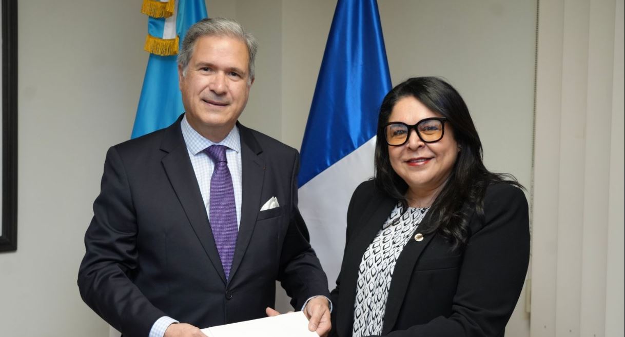 Vicecanciller recibe copias de estilo del embajador de la República Francesa