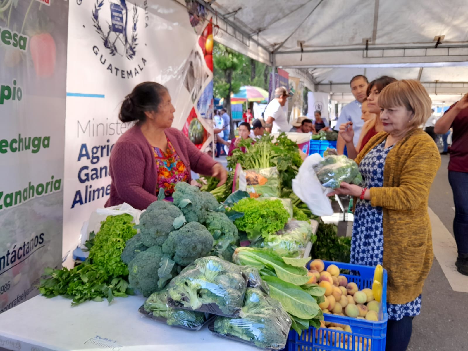 Se inicia Feria del Agricultor, la cual ofrece frutas y verduras a precios accesibles