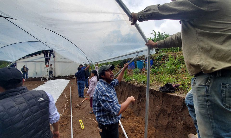 Instalan invernaderos para aumentar producción de flores en Sibinal, San Marcos. / Foto: MAGA.