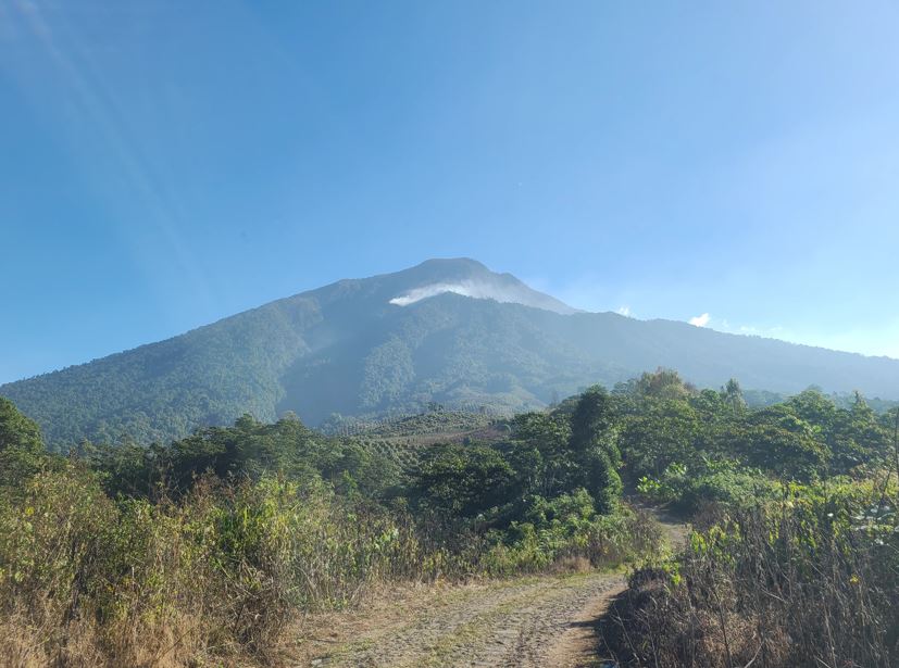 Unen esfuerzos para la reforestación del Cerro Pecul en Suchitepéquez