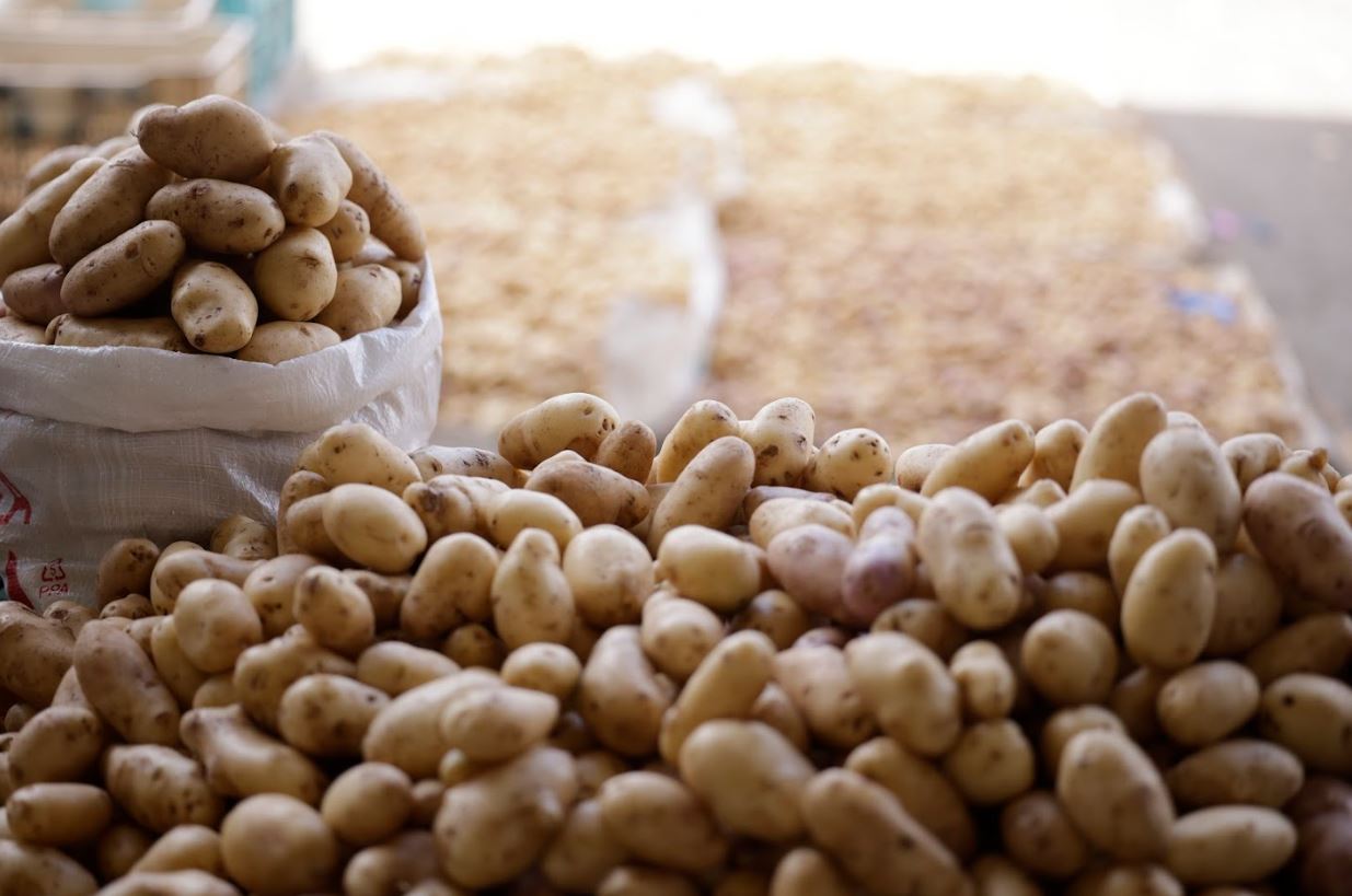 Feria del agricultor: Una oportunidad para adquirir productos de la canasta básica