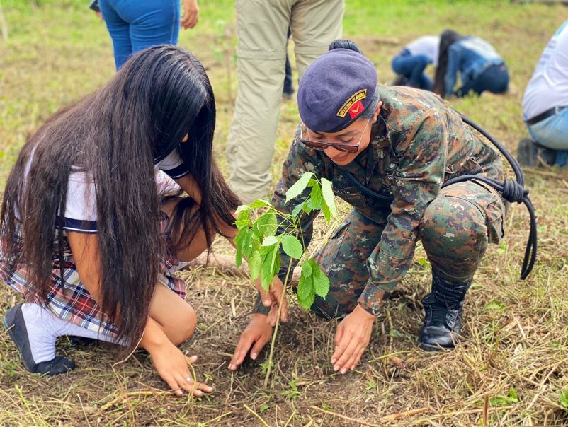 Entidades se unen para iniciar jornadas de reforestación en Izabal