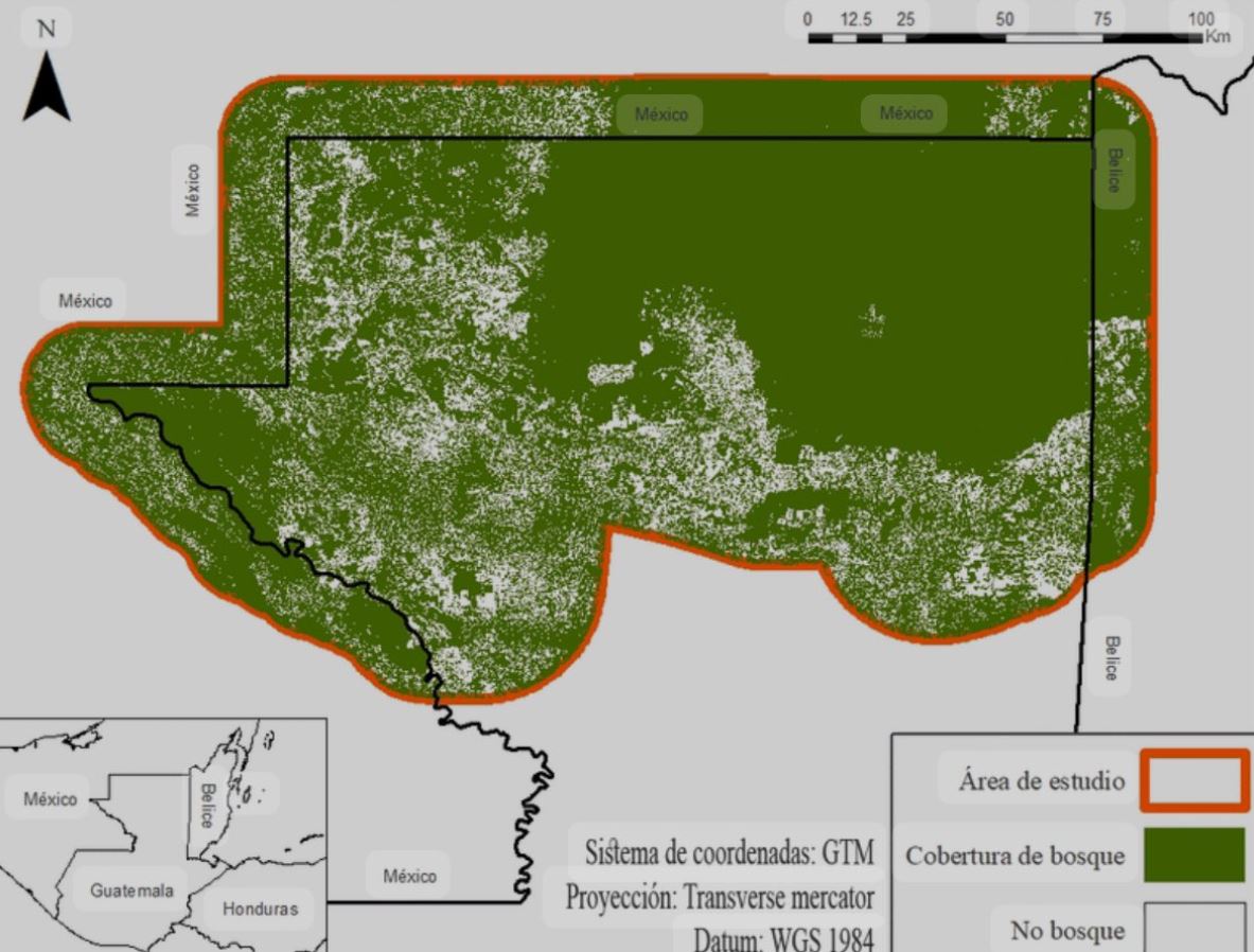 Ministra de Ambiente desmiente acusaciones de saqueo en el Parque Nacional Tikal