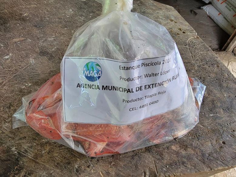 MAGA fortalece acuicultura en Olopa con capacitación y asistencia técnica