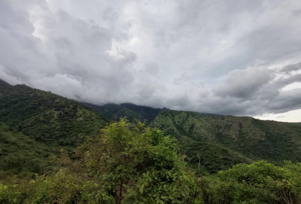 Conap: preocupan atentado y amenazas contra guardarrecursos en Sierra de la Minas