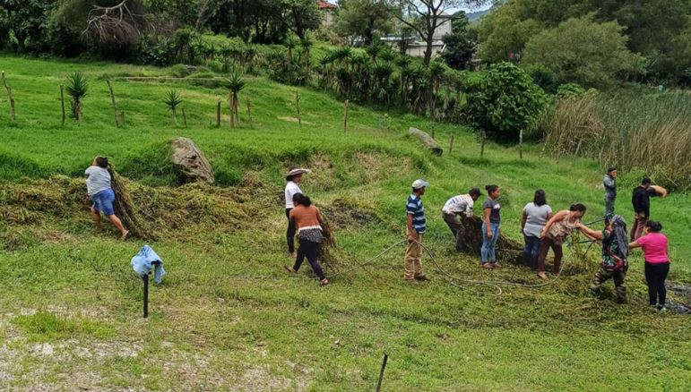 VISAN impulsa la seguridad alimentaria a través de proyectos comunitarios