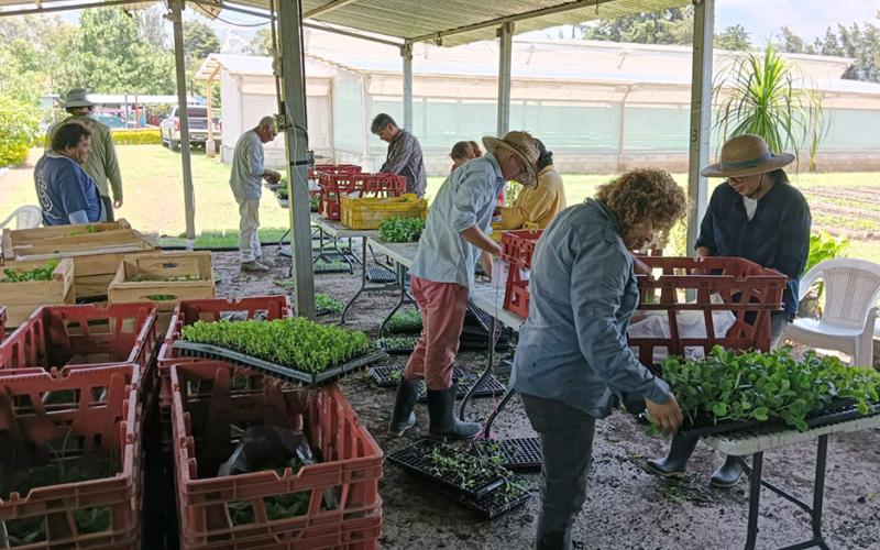 Establecimientos de Jutiapa reciben 130 mil 200 pilones para huertos escolares