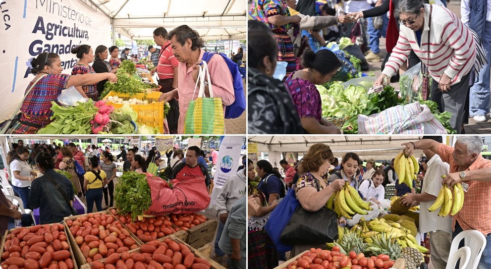 La Feria del Agricultor benefició esta semana a productores y consumidores de seis departamentos.
