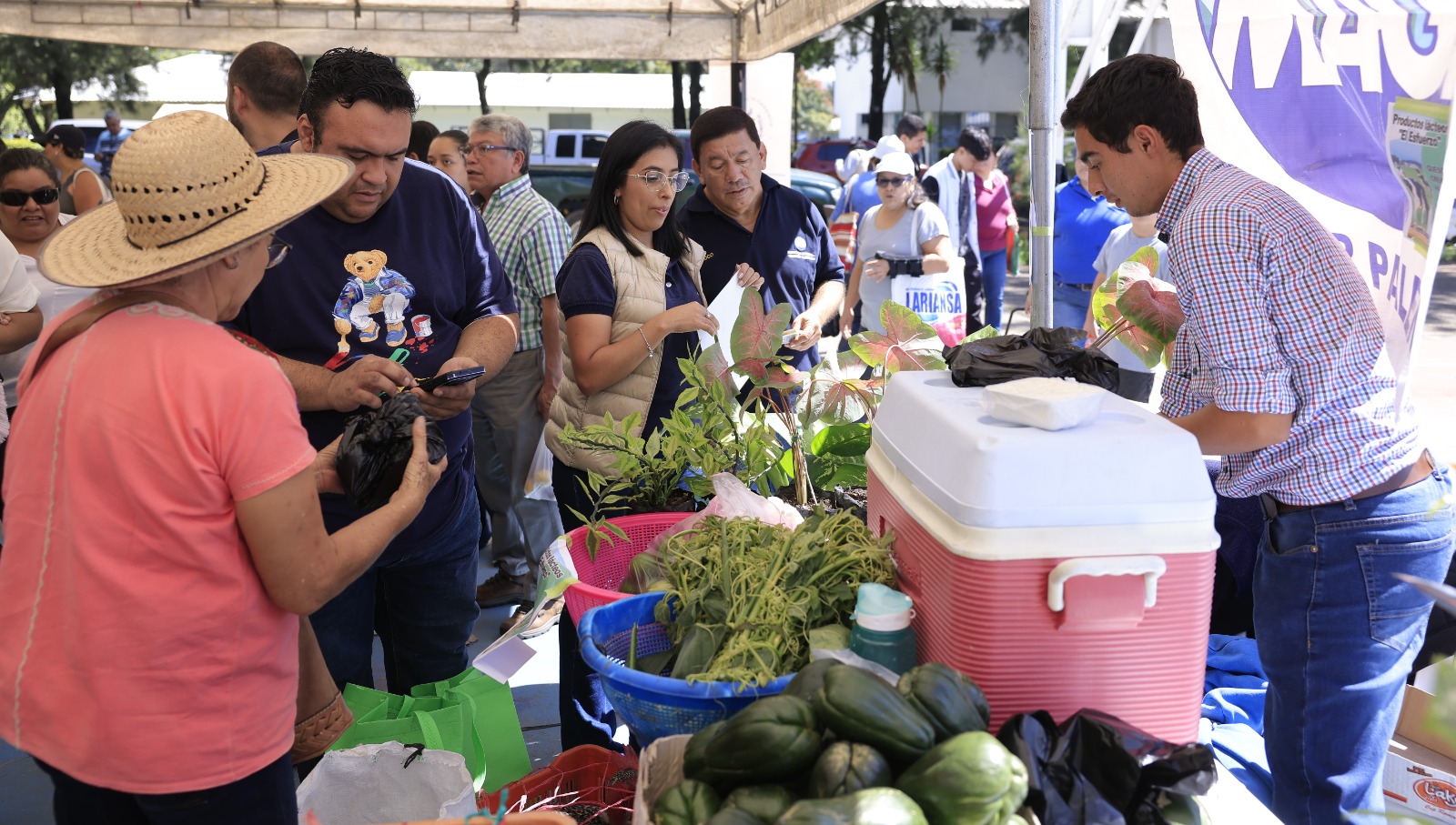 Feria del Agricultor beneficia a miles de familias en 13 departamentos del país en agosto