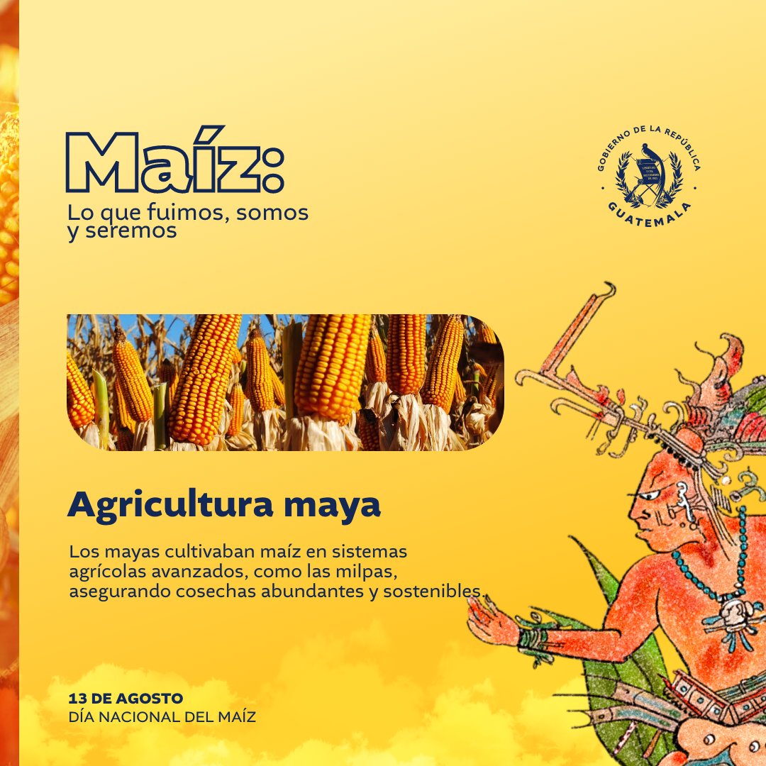 Guatemala celebra el Día Nacional del Maíz, símbolo de cultura e identidad
