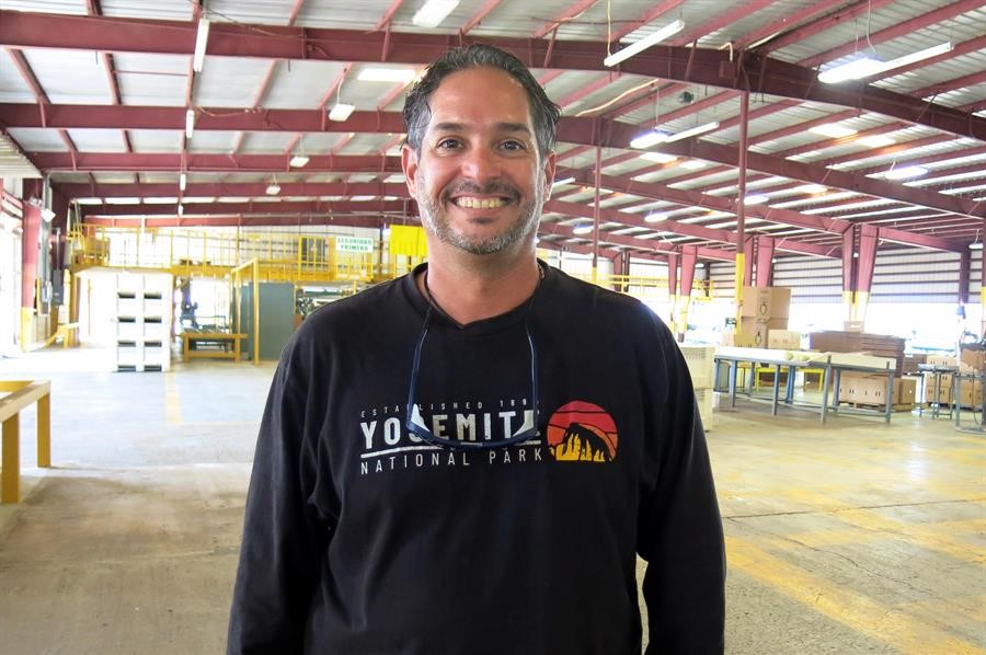 Agricultores puertorriqueños luchan por salvar sus fincas diezmadas por tormenta Ernesto