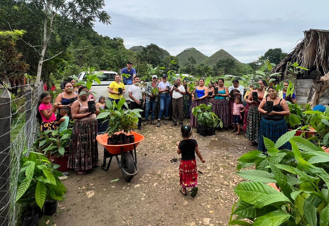 MAGA entrega plántulas de cacao en San Agustín, Petén, para impulsar la economía local