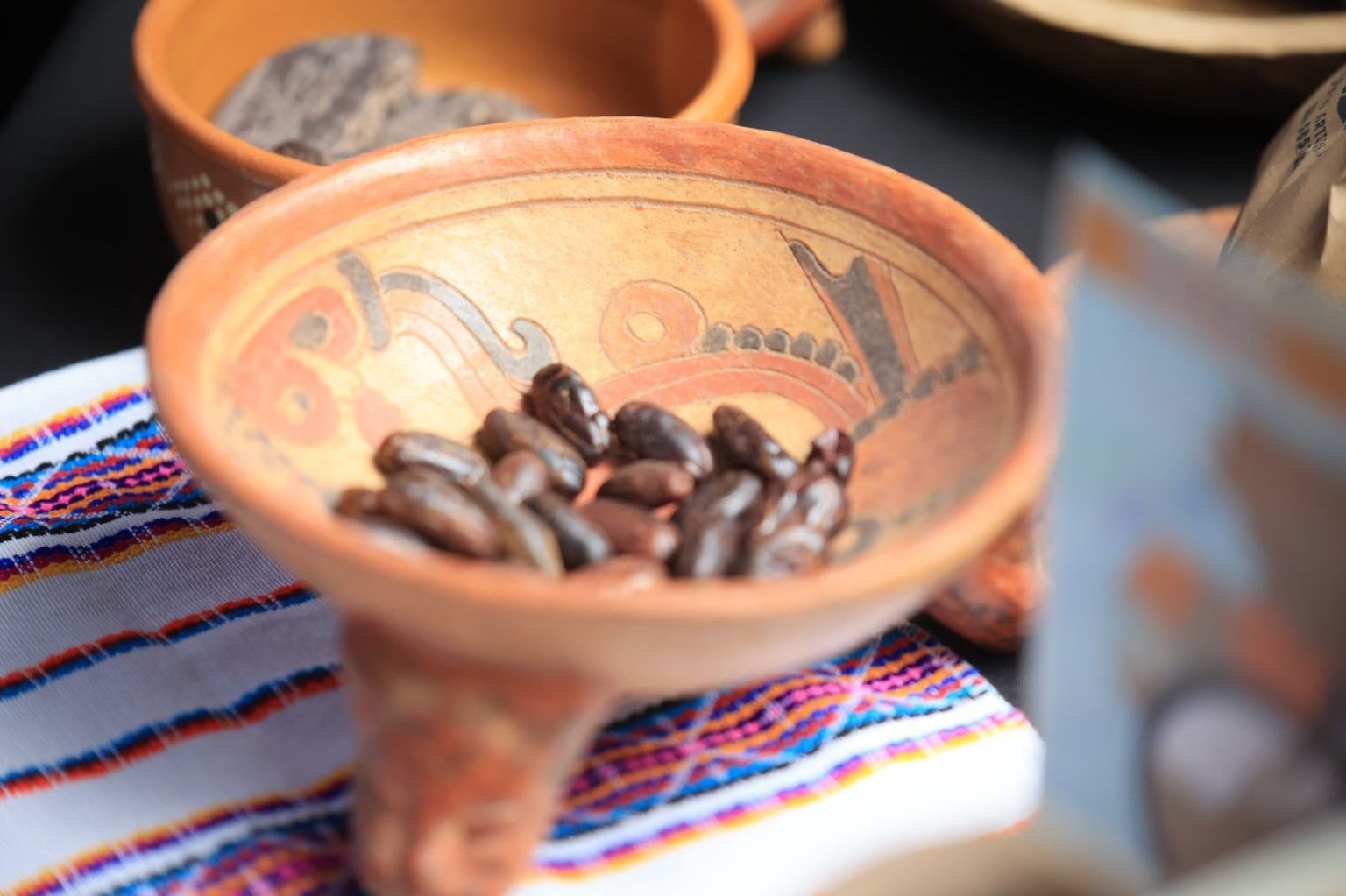 MAGA impulsa el crecimiento del cacao en Centroamérica