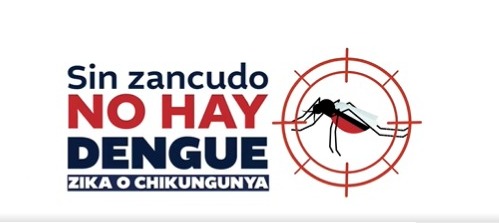 cómo prevenir el dengue en casa y la importancia de hacerlo