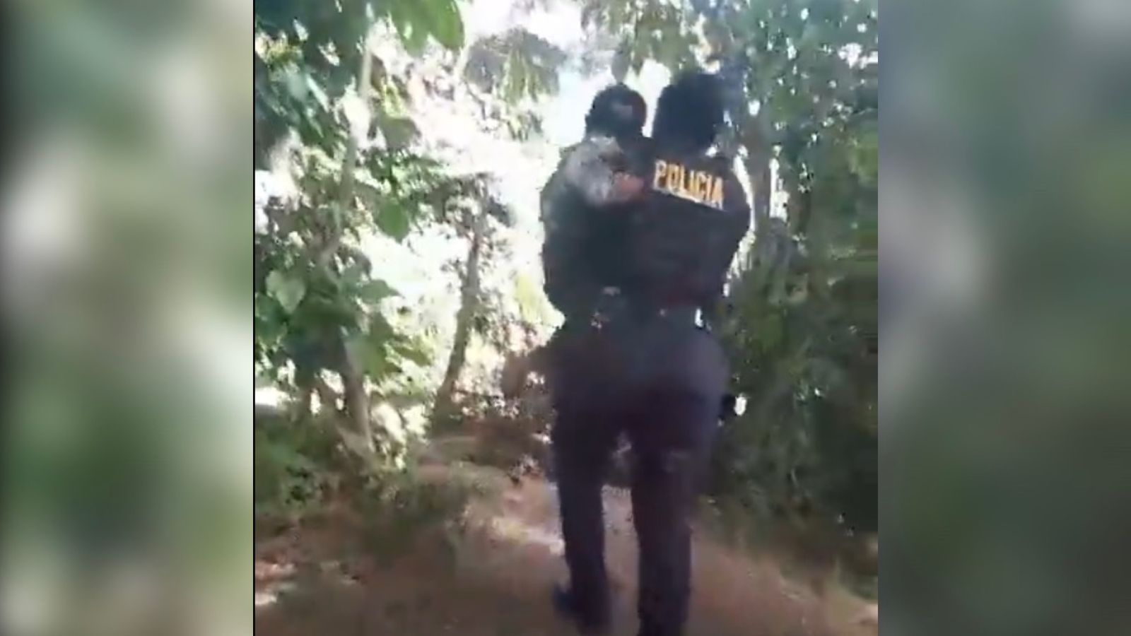 PNC rescata a niño que estaba atado en un cafetal