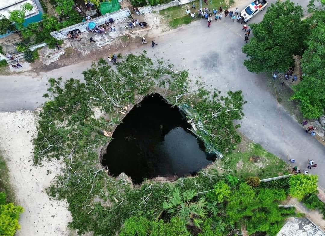 Ceiba gigante cae dentro de un cenote en “el centro del mundo” en la cosmovisión maya