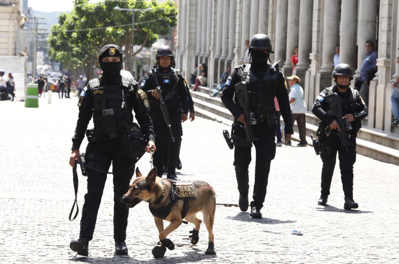 Operativos en Plaza de la Constitución: combate al narcomenudeo con intervención de la SGAIA