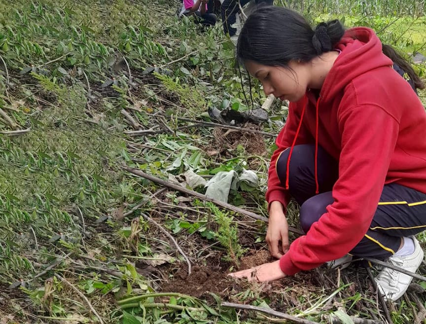 Jornada de reforestación en Santa Lucía Utatlán