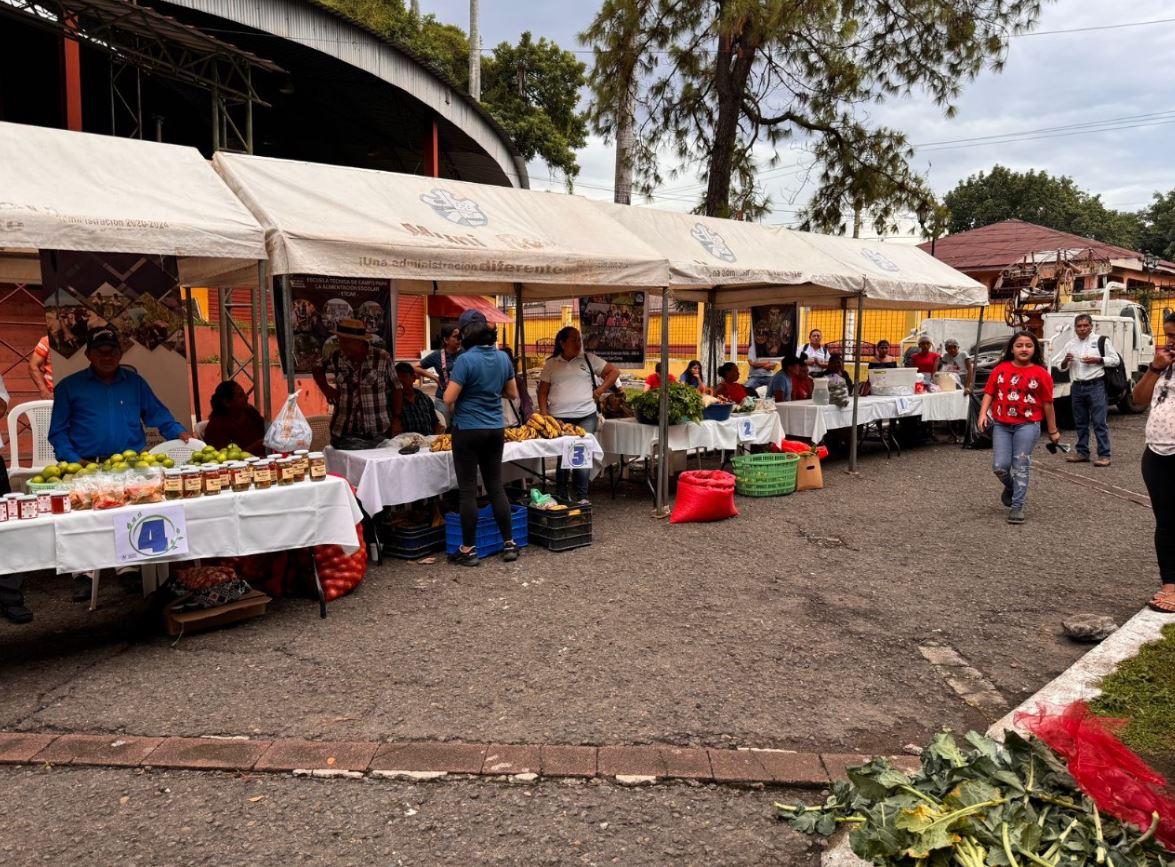 Feria del Agricultor llega esta semana a tres departamentos