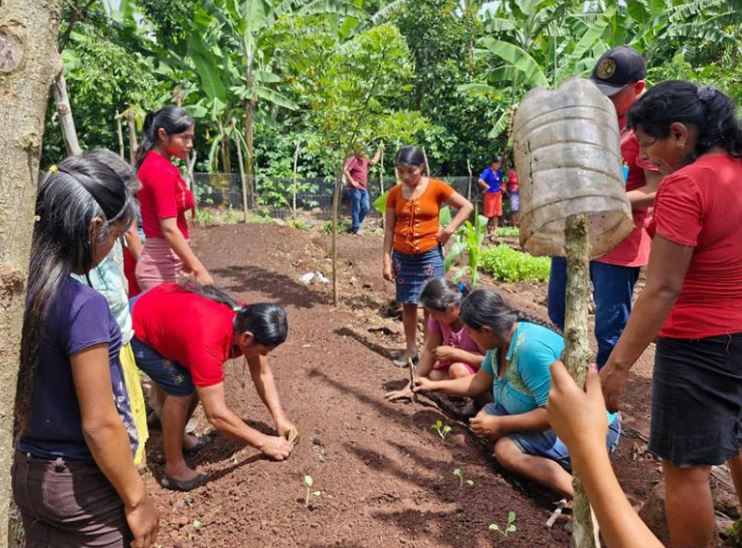 Preparan terrenos para huertos comunales en Olopa, Chiquimula