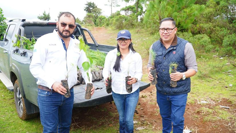 Autoridades de Jalapa abordan la tala ilegal en Miramundo