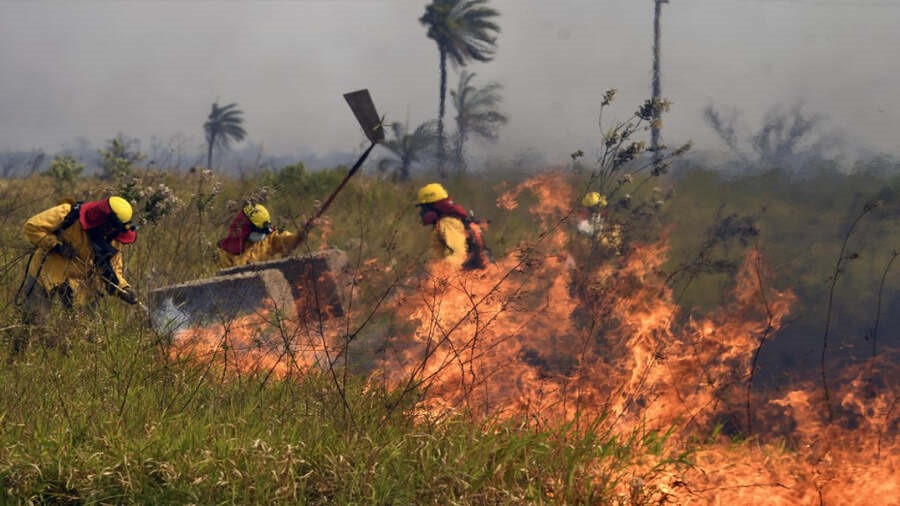 Bolivia enfrenta severos incendios forestales. / Foto: La Razón.