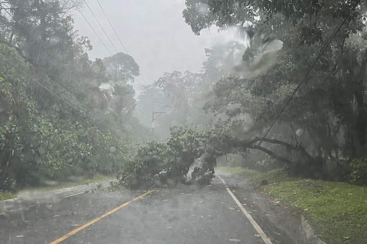 Lluvias provocan inundaciones, caída de árboles y congestionamiento en varias zonas