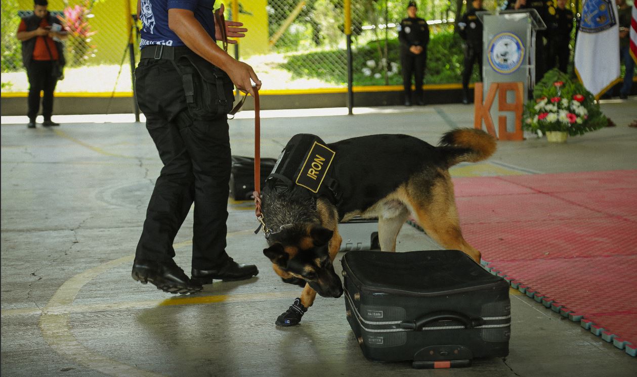 Culmina curso de detección de sustancias para guías y agentes K-9