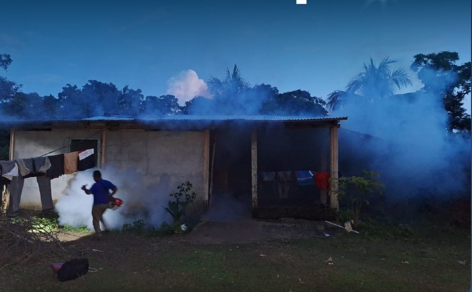 Las autoridades de Salud priorizan la fumigación en viviendas y escuelas para evitar la proliferación del zancudo que transmite el dengue.