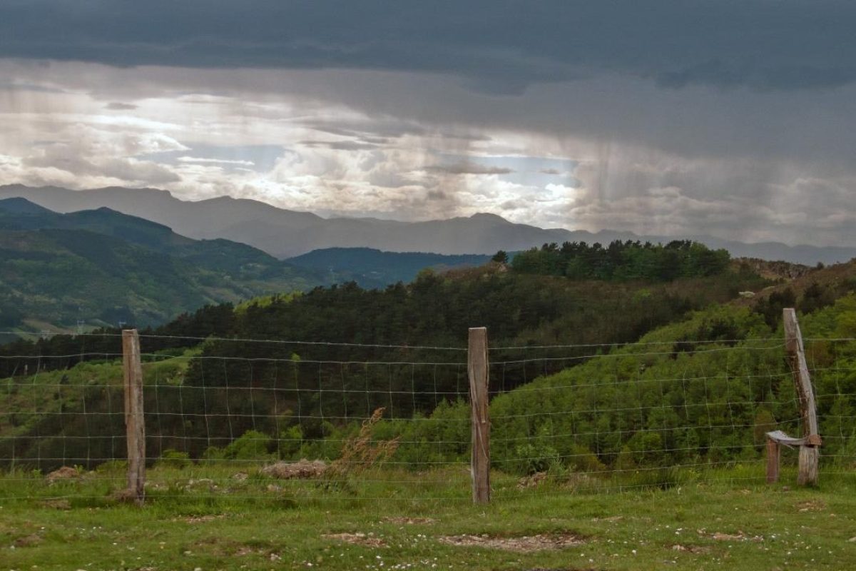 MAGA emite recomendaciones para el cuidado de plantaciones de frijol y maíz por lluvias