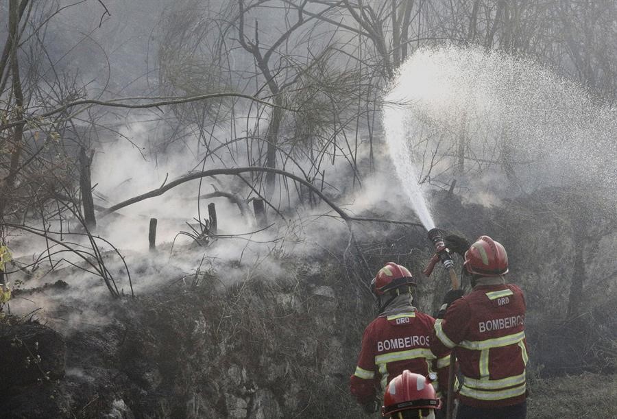 Incendios forestales azotan Portugal. / Foto: EFE.