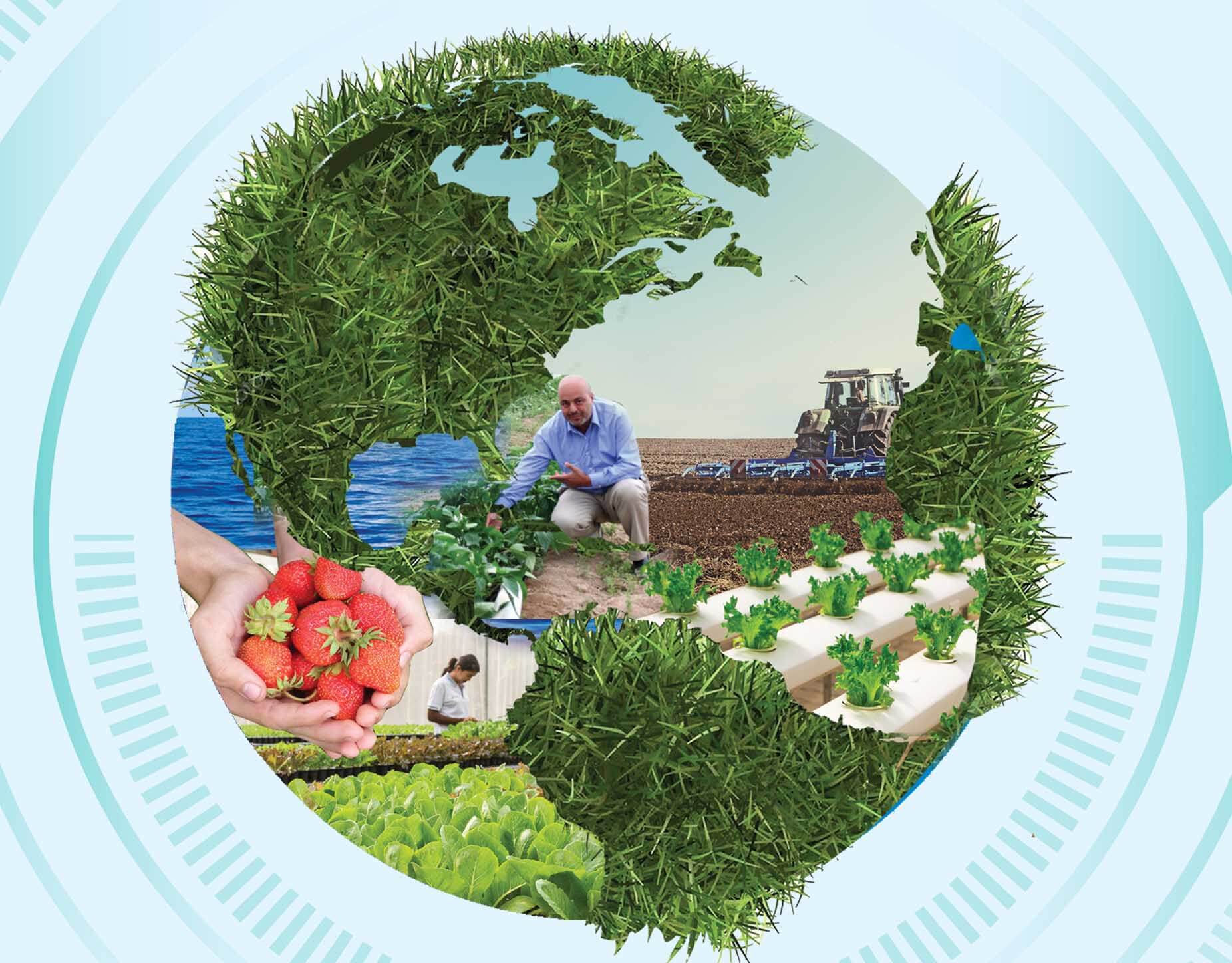La agricultura sostenible es una forma de combatir la pobreza. / Foto: TEC.