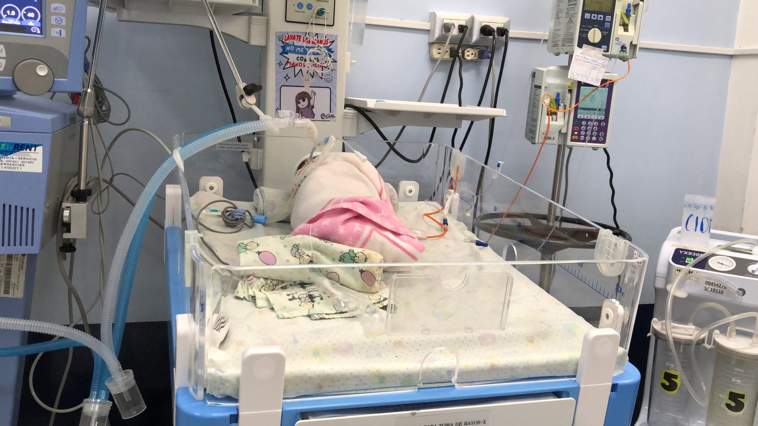 Más de 300 bebés han sobrevivido este año en el Hospital de San Marcos gracias a su generoso banco de leche. / Foto: MSPAS.