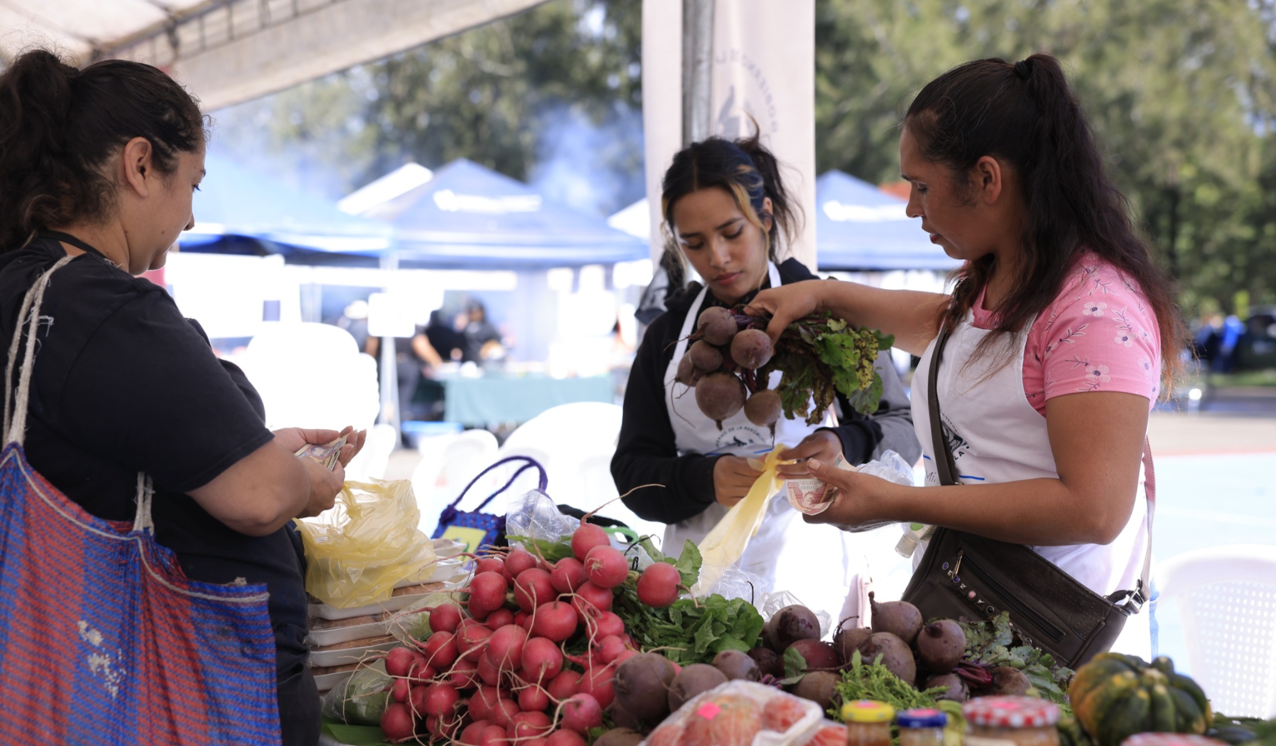 Ocho productos de la canasta básica presentan baja en su precio