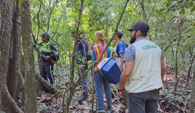 Conap sigue realizando inspecciones en volcanes. / Foto: Conap.