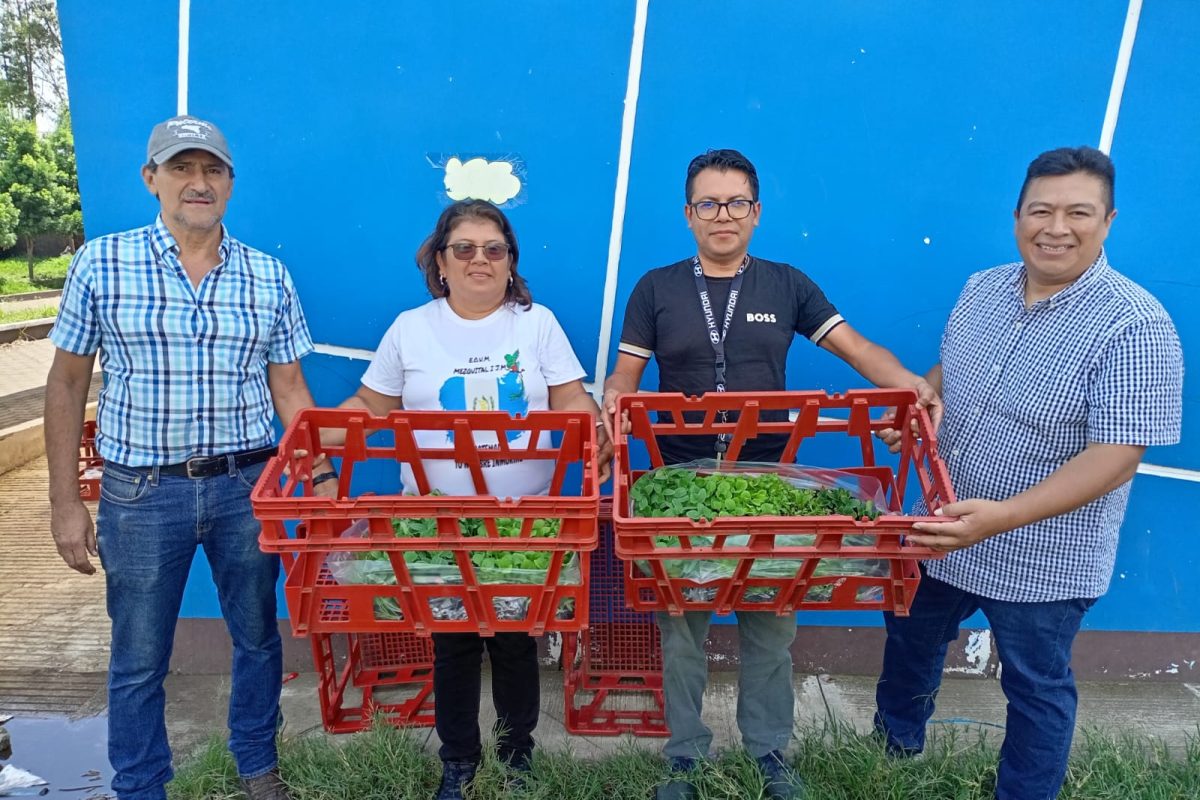 Este proyecto de huertos escolares se enmarca dentro del plan nacional Una nueva siembra para el agro de Guatemala.