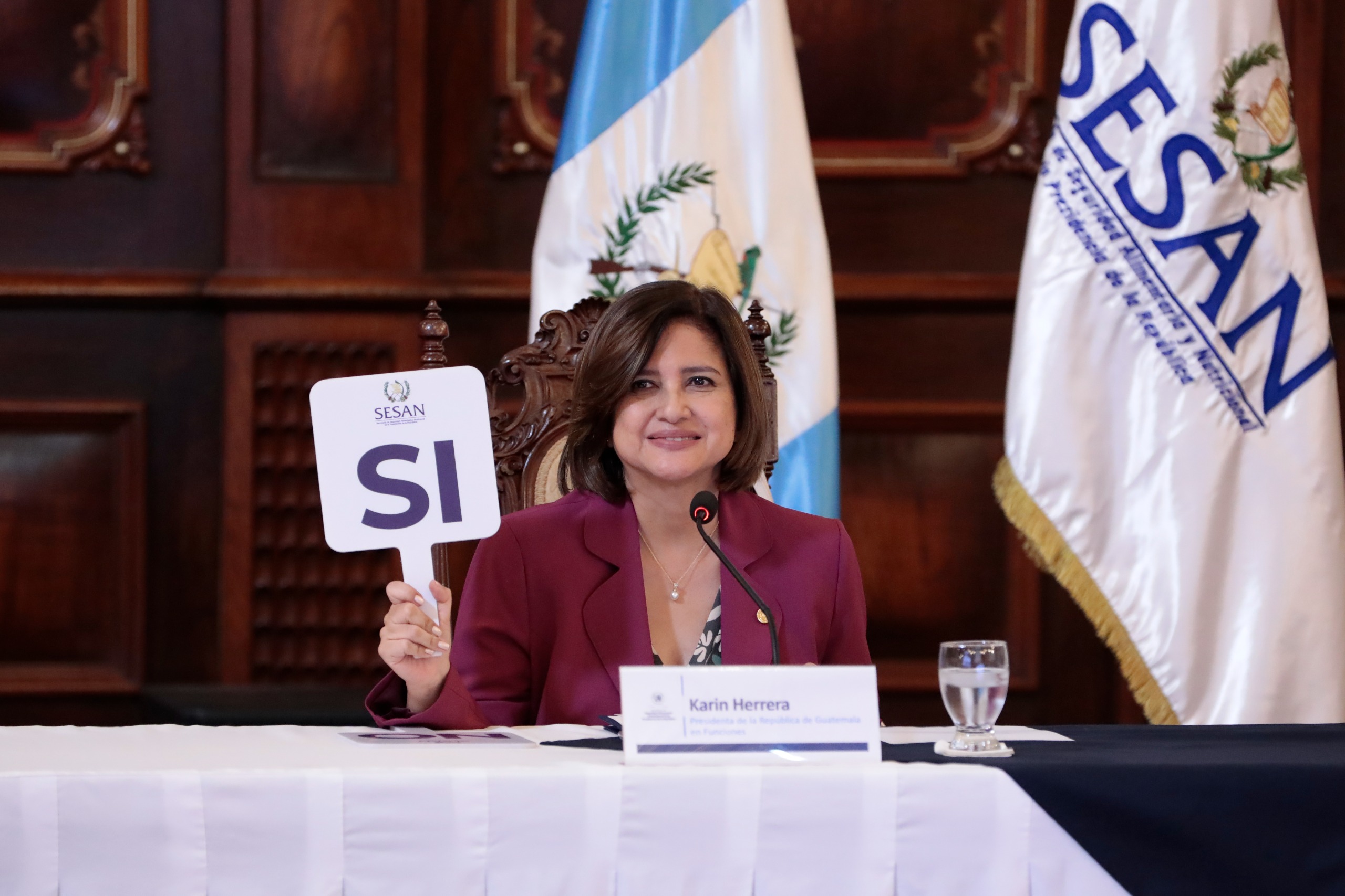 Presidenta en funciones Karin Herrera participa en reunión del Conasan