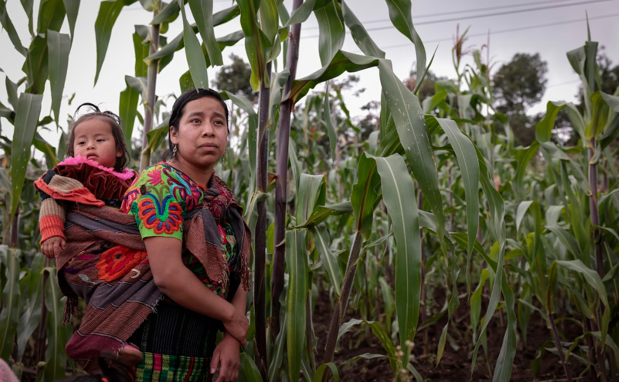 Las lideresas seleccionadas podrán defender en la Demi los derechos de las mujeres indígenas. / Foto: Noé Pérez.