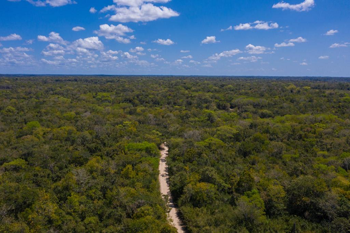 Iniciativa Petén más Sostenible: un paso hacia el desarrollo socioeconómico y ambiental