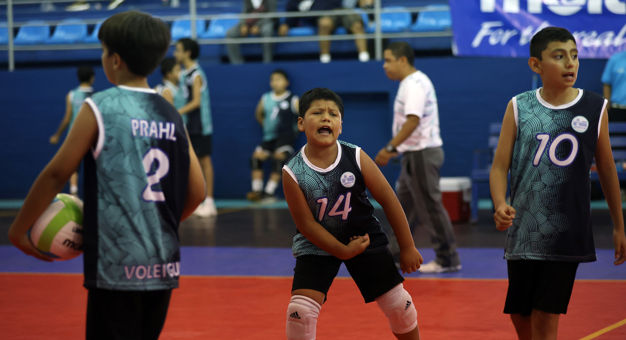 Estas son las federaciones y asociaciones deportivas que ofrecerán cursos de vacaciones