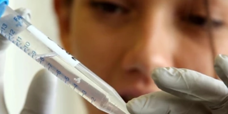 Crean moléculas híbridas de ADN con iones de plata, con aplicaciones en nanociencia